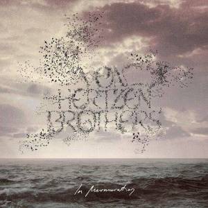  Von Hertzen Brothers - In Murmuration