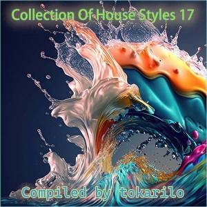  VA - Collection Of House Styles 17  [Compiled by tokarilo]