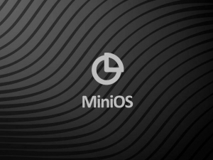 MiniOS ( ) v3.3.4 [amd64, i386] 10xCD [RU]