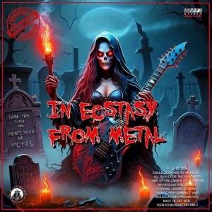  VA - In ecstasy from metal