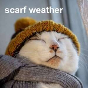  VA - scarf weather