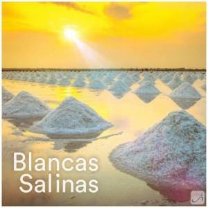  VA - Andalucia Chill. Blancas Salinas