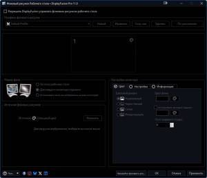 DisplayFusion Pro + Portable + MSI 11.1.1 [Multi/Ru]