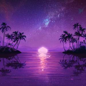  Purple Disco Machine - Club Paradise