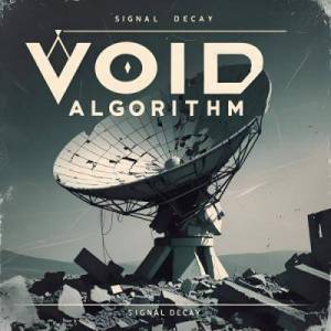  Void Algorithm - Signal Decay
