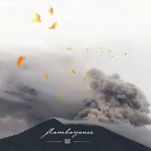  Second Day - Flamboyance
