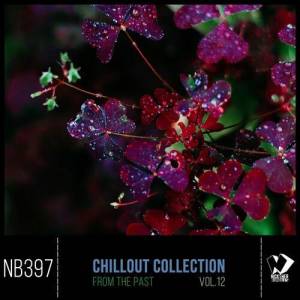  VA - Chillout Collection From The Past Vol 12