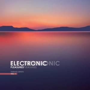  VA - Electronic Pleasures, Vol 1
