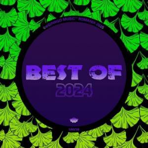  VA - Best Of 2024