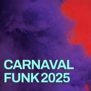  VA - Carnaval Funk