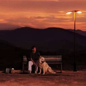  Jamie Miller - Long Way Home
