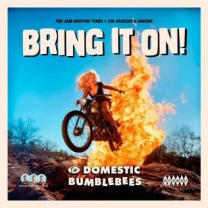  The Domestic Bumblebees - Bring It On!
