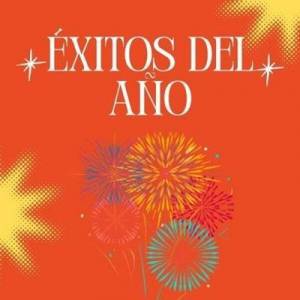  VA - Exitos Del Ano