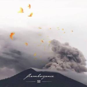  Second Day - Flamboyance