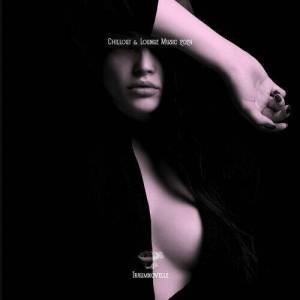  VA - Chillout & Lounge Music 2024