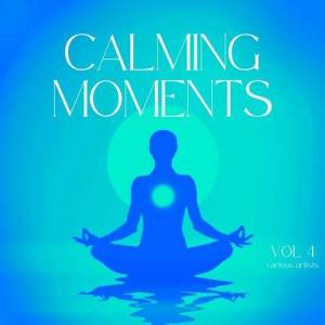  VA - Calming Moments, Vol. 4