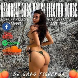  VA - Afrobeat Bass House Electro House Vol 1