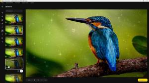 Movavi Photo Editor 24.3.0 RePack (& Portable) by elchupacabra (x64) [Multi/Ru]