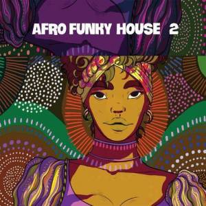  VA - Afro Funky House 2