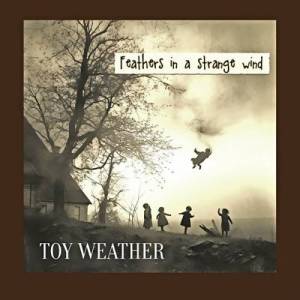  Toy Weather - Feathers in a strange wind