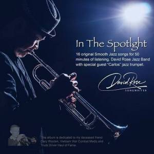  David Rose - In the Spotlight