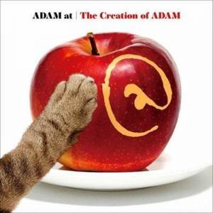  ADAM at - The Creation of ADAM