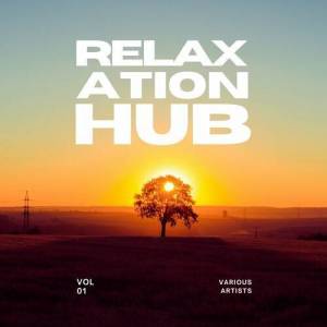  VA - Relaxation Hub, Vol 1