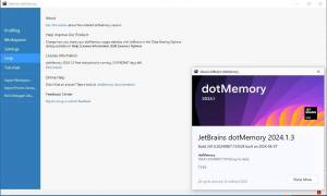 JetBrains dotUltimate 2024.1.3 [En]