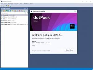 JetBrains dotUltimate 2024.1.3 [En]