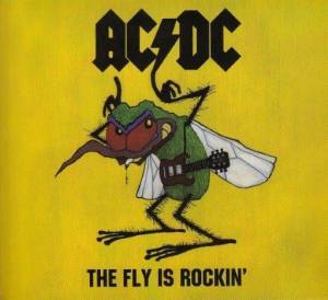  AC/DC - The Fly Is Rockin'