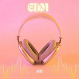 VA - EDM