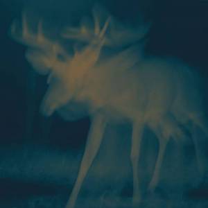  Laura Masotto - The Spirit of Things
