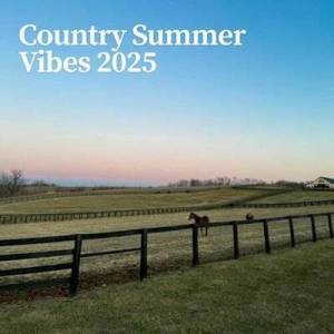  VA - Country Summer Vibes