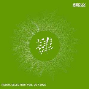  VA - Redux Selection, Vol. 5 / 2025