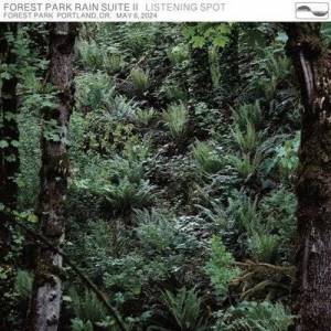  Listening Spot - Forest Park Rain Suite II