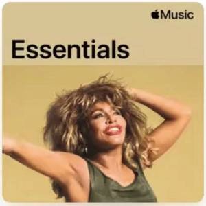  Tina Turner - Essentials