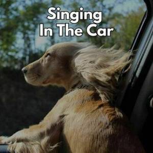  VA - Singing In The Car