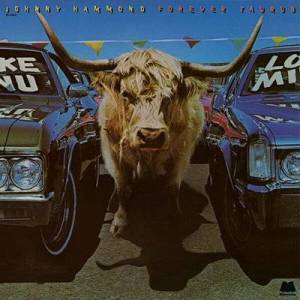  Johnny Hammond - Forever Taurus [Remastered 2025]