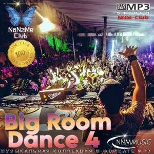  VA - Big Room Dance 4
