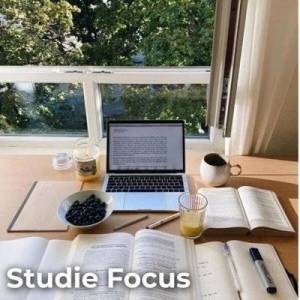  VA - Studie Focus