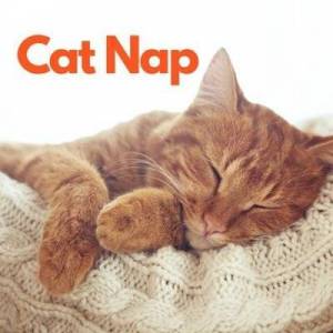  VA - Cat Nap