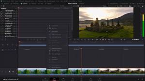 Blackmagic Design DaVinci Resolve Studio 20.0 Build 49 [Multi/Ru]
