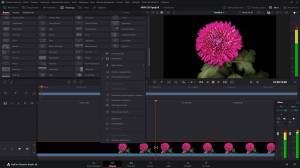 Blackmagic Design DaVinci Resolve Studio 20.0 Build 49 RePack by KpoJIuK [Multi/Ru]