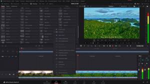 Blackmagic Design DaVinci Resolve Studio 20.0 Build 49 (x64) Portable by 7997 [Multi/Ru]