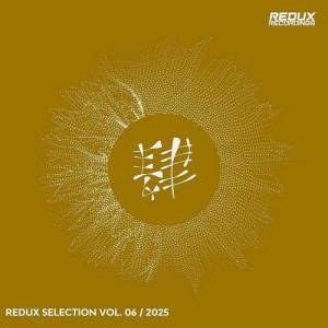  VA - Redux Selection, Vol. 6 / 2025