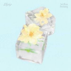  N.Flying - Everlasting