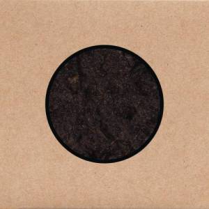  Swans - Birthing