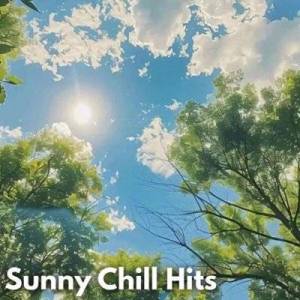  VA - Sunny Chill Hits