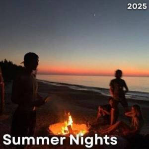  VA - Summer Nights