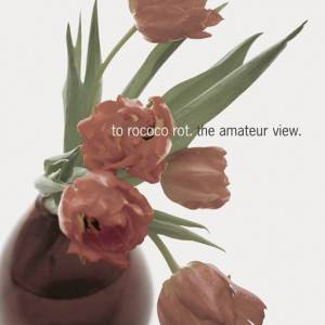  To Rococo Rot - The Amateur View [Expanded Edition]